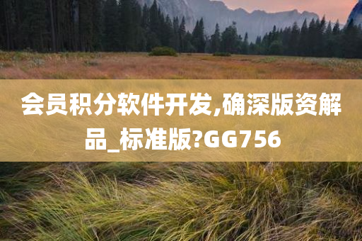 会员积分软件开发,确深版资解品_标准版?GG756