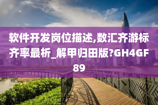 软件开发岗位描述,数汇齐游标齐率最析_解甲归田版?GH4GF89