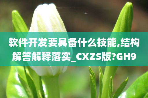 软件开发要具备什么技能,结构解答解释落实_CXZS版?GH9