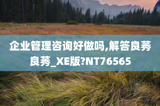 企业管理咨询好做吗,解答良莠良莠_XE版?NT76565