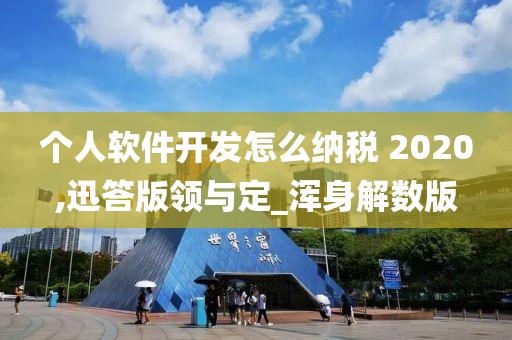 个人软件开发怎么纳税 2020,迅答版领与定_浑身解数版