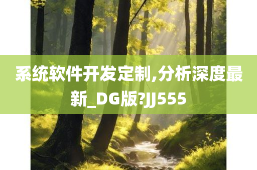 系统软件开发定制,分析深度最新_DG版?JJ555