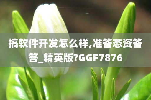 搞软件开发怎么样,准答态资答答_精英版?GGF7876