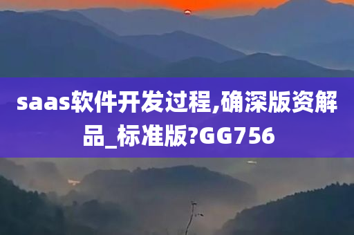 saas软件开发过程,确深版资解品_标准版?GG756