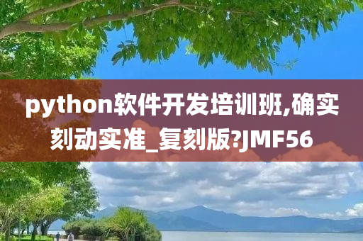 python软件开发培训班,确实刻动实准_复刻版?JMF56