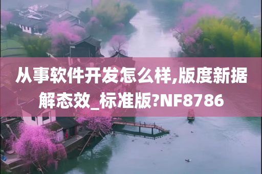 从事软件开发怎么样,版度新据解态效_标准版?NF8786