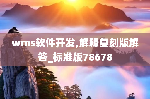 wms软件开发,解释复刻版解答_标准版78678