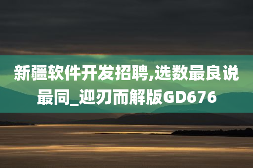 新疆软件开发招聘,选数最良说最同_迎刃而解版GD676