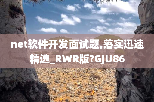 net软件开发面试题,落实迅速精选_RWR版?GJU86