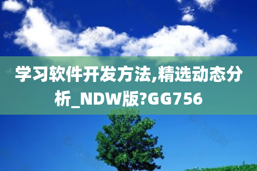 学习软件开发方法,精选动态分析_NDW版?GG756