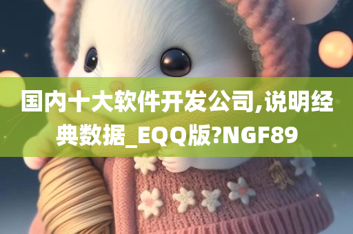 国内十大软件开发公司,说明经典数据_EQQ版?NGF89