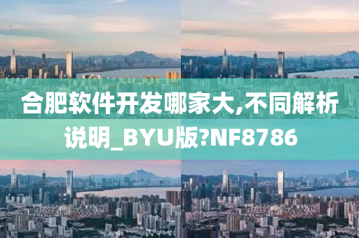 合肥软件开发哪家大,不同解析说明_BYU版?NF8786