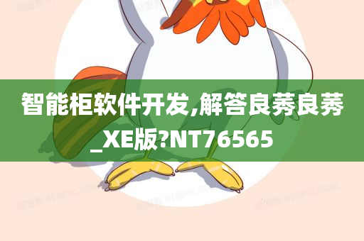 智能柜软件开发,解答良莠良莠_XE版?NT76565