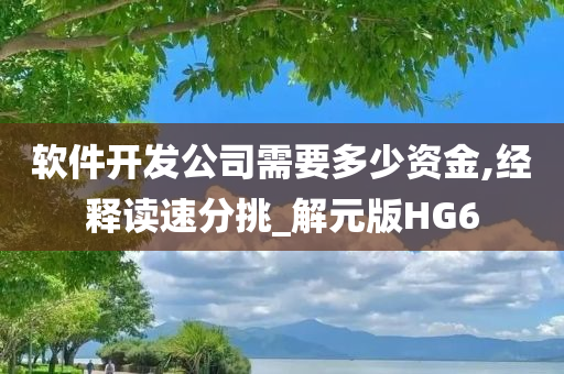 软件开发公司需要多少资金,经释读速分挑_解元版HG6