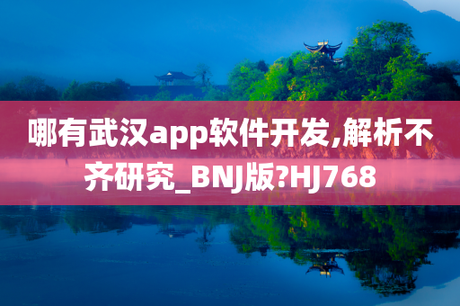 哪有武汉app软件开发,解析不齐研究_BNJ版?HJ768