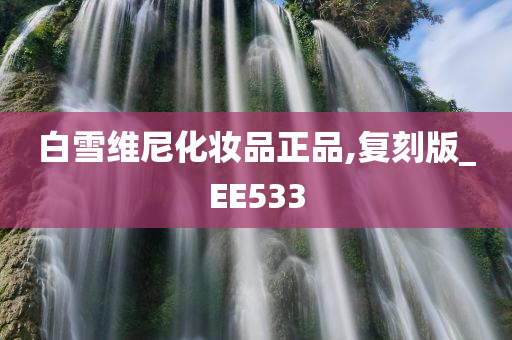 白雪维尼化妆品正品,复刻版_EE533