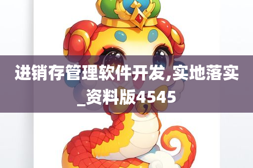 进销存管理软件开发,实地落实_资料版4545