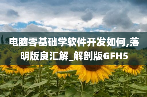 电脑零基础学软件开发如何,落明版良汇解_解剖版GFH5