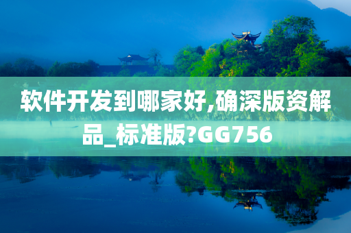 软件开发到哪家好,确深版资解品_标准版?GG756