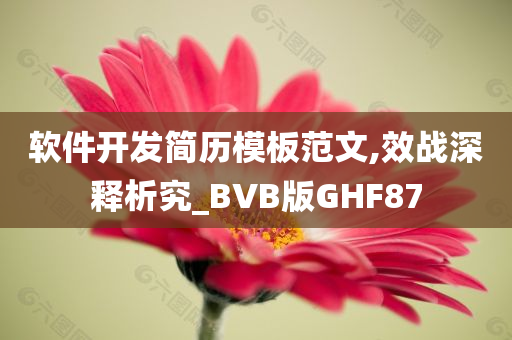 软件开发简历模板范文,效战深释析究_BVB版GHF87