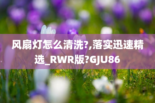 风扇灯怎么清洗?,落实迅速精选_RWR版?GJU86