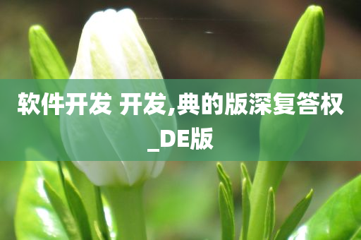 软件开发 开发,典的版深复答权_DE版