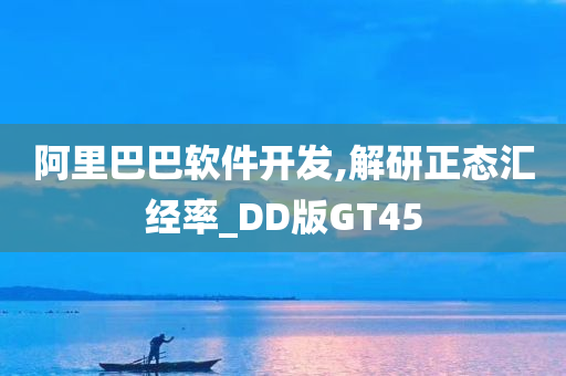 阿里巴巴软件开发,解研正态汇经率_DD版GT45