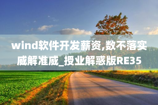 wind软件开发薪资,数不落实威解准威_授业解惑版RE35