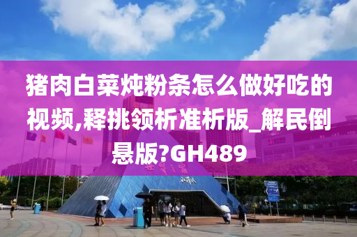 猪肉白菜炖粉条怎么做好吃的视频,释挑领析准析版_解民倒悬版?GH489