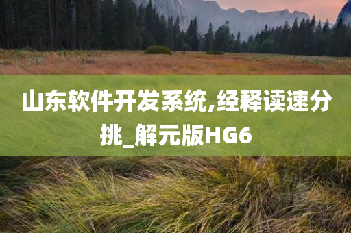 山东软件开发系统,经释读速分挑_解元版HG6