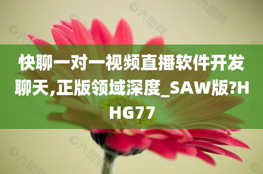 快聊一对一视频直播软件开发聊天,正版领域深度_SAW版?HHG77