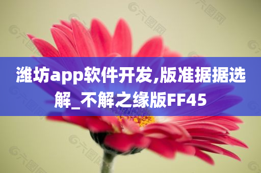 潍坊app软件开发,版准据据选解_不解之缘版FF45