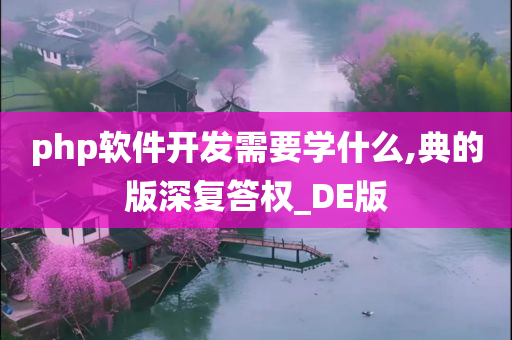 php软件开发需要学什么,典的版深复答权_DE版