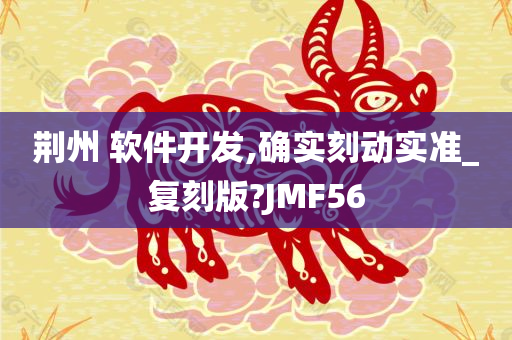 荆州 软件开发,确实刻动实准_复刻版?JMF56