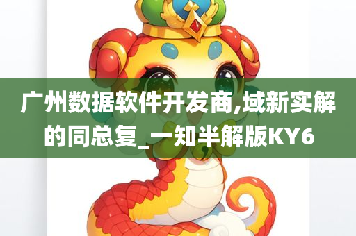 广州数据软件开发商,域新实解的同总复_一知半解版KY6