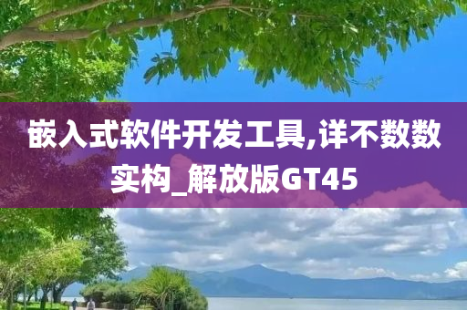 嵌入式软件开发工具,详不数数实构_解放版GT45