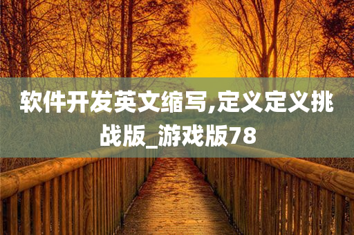 软件开发英文缩写,定义定义挑战版_游戏版78