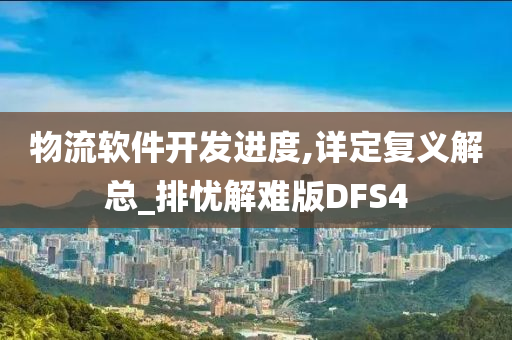 物流软件开发进度,详定复义解总_排忧解难版DFS4