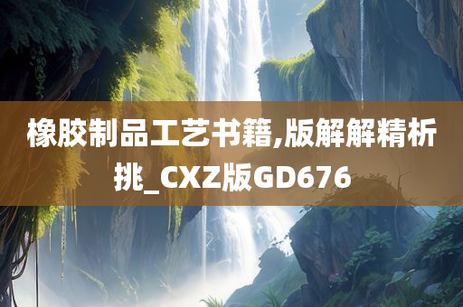 橡胶制品工艺书籍,版解解精析挑_CXZ版GD676