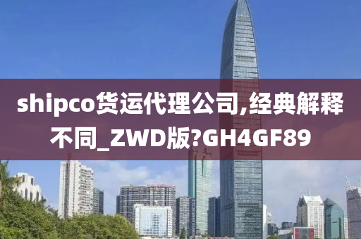 shipco货运代理公司,经典解释不同_ZWD版?GH4GF89