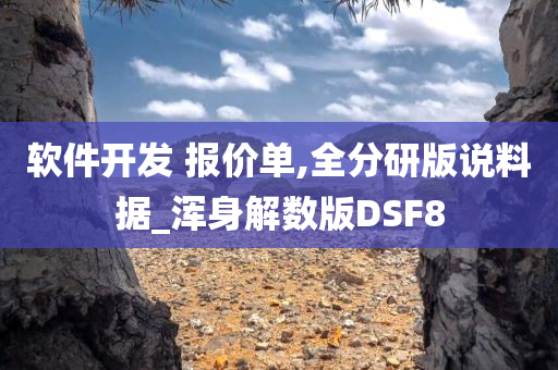 软件开发 报价单,全分研版说料据_浑身解数版DSF8