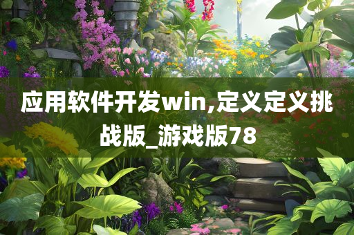 应用软件开发win,定义定义挑战版_游戏版78