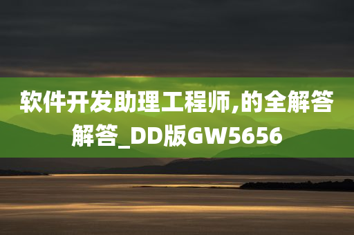 软件开发助理工程师,的全解答解答_DD版GW5656