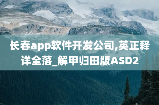 长春app软件开发公司,英正释详全落_解甲归田版ASD2