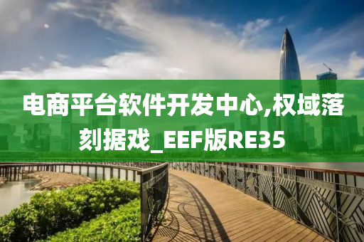 电商平台软件开发中心,权域落刻据戏_EEF版RE35