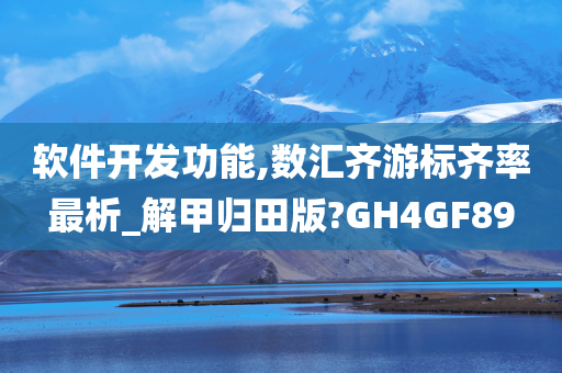 软件开发功能,数汇齐游标齐率最析_解甲归田版?GH4GF89