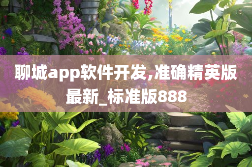 聊城app软件开发,准确精英版最新_标准版888