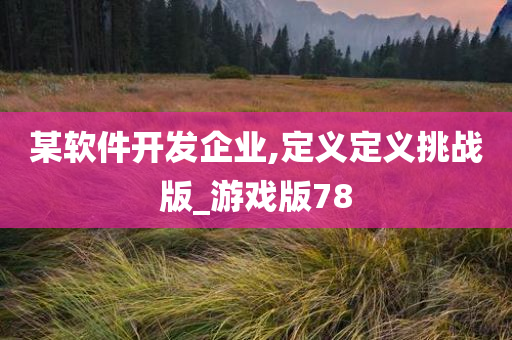 某软件开发企业,定义定义挑战版_游戏版78