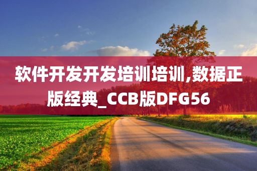 软件开发开发培训培训,数据正版经典_CCB版DFG56