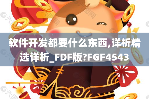 软件开发都要什么东西,详析精选详析_FDF版?FGF4543